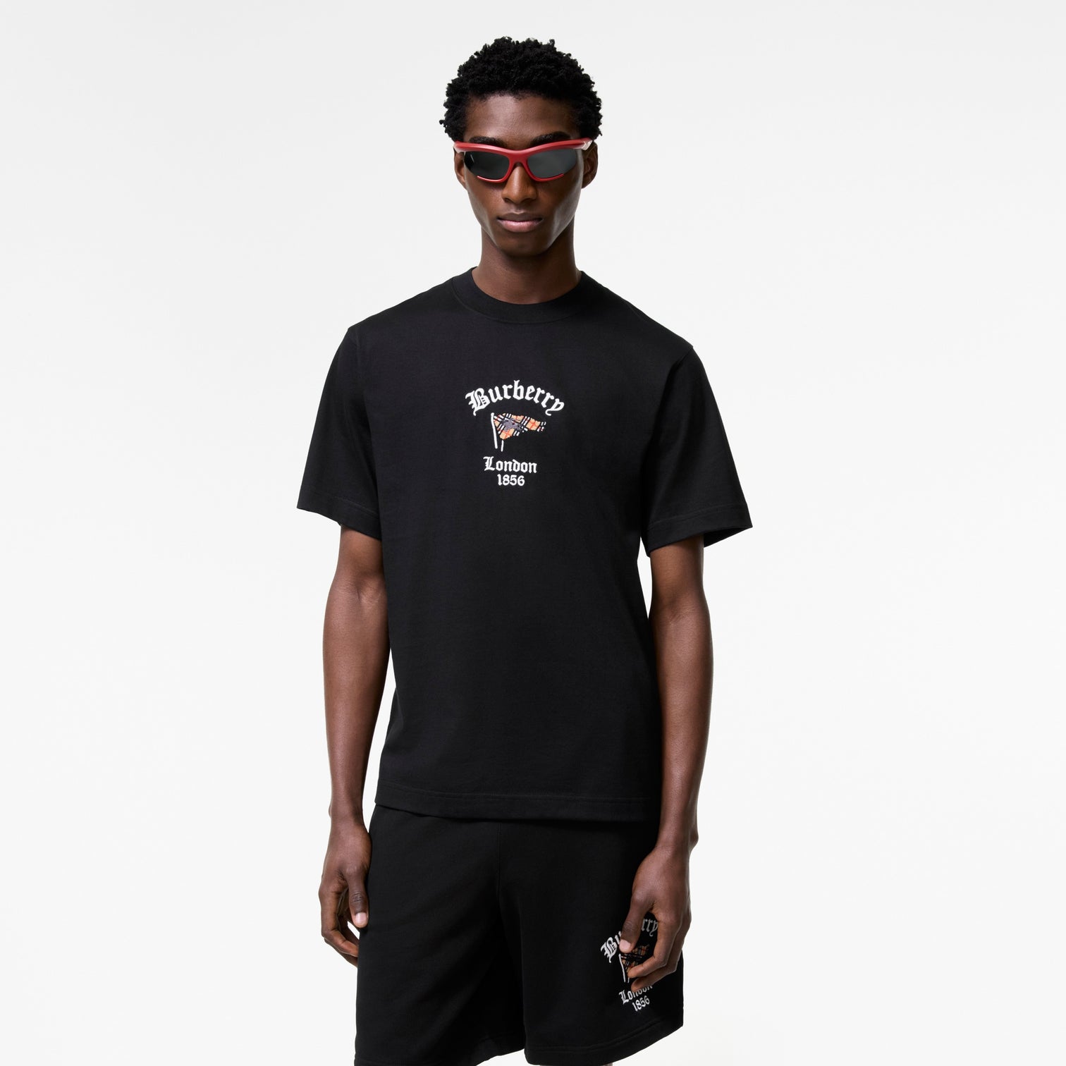 Premium Burberry Relaxed Fit Check Flag Cotton T-shirt