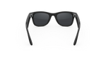 image, Wayfarer (Gen 2)